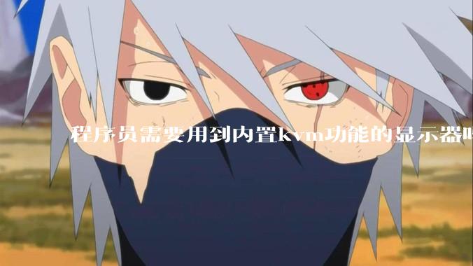 程序员需要用到内置kvm功能的显示器吗？或者是外置的kvm切换器吗？