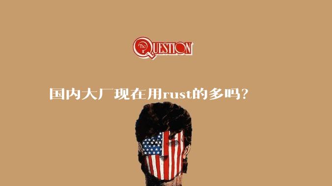 国内大厂现在用rust的多吗？