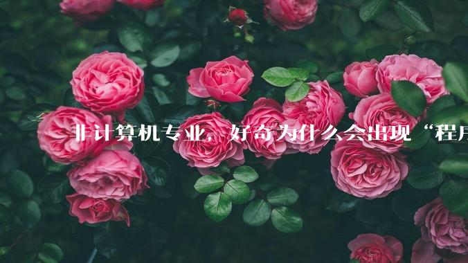 非计算机专业，好奇为什么会出现“程序依赖bug运行”的情况？