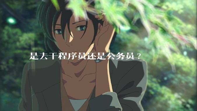 是去干程序员还是公务员?