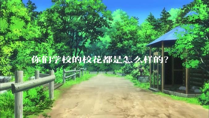 你们学校的校花都是怎么样的？