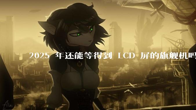 2025 年还能等得到 LCD 屏的旗舰机吗？