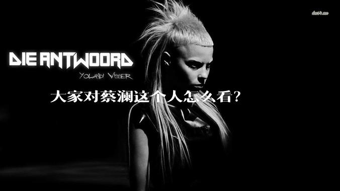 大家对蔡澜这个人怎么看？