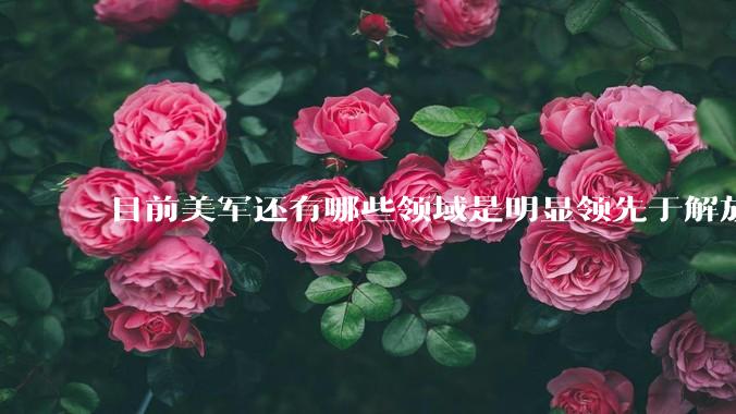 目前美军还有哪些领域是明显领先于解放军的？
