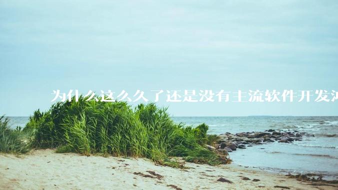 为什么这么久了还是没有主流软件开发鸿蒙版？