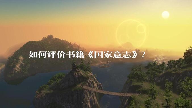 如何评价书籍《国家意志》？