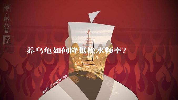 养乌龟如何降低换水频率？