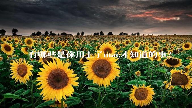 有哪些是你用上了mac才知道的事？