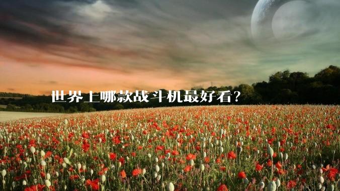 世界上哪款战斗机最好看？