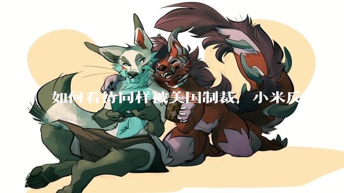 如何看待同样被美国制裁，小米反诉成功，明明是小米不跪，小米却不断被黑？