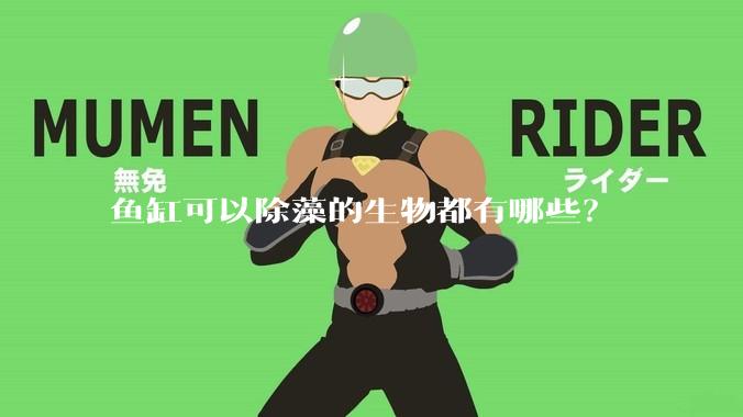 鱼缸可以除藻的生物都有哪些？